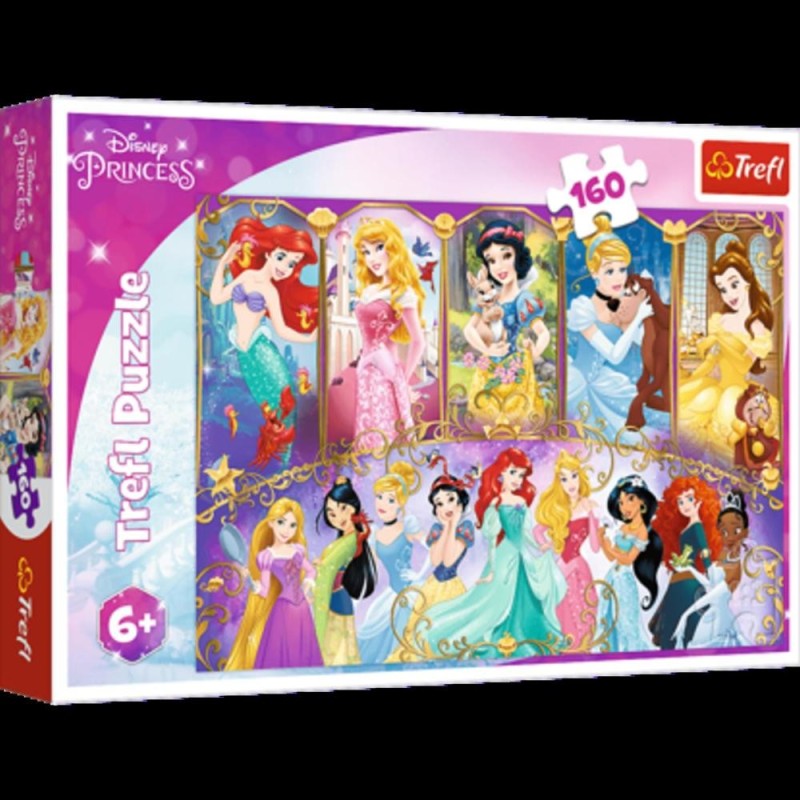 [1650552887] Puzzles 160 princesses 15407