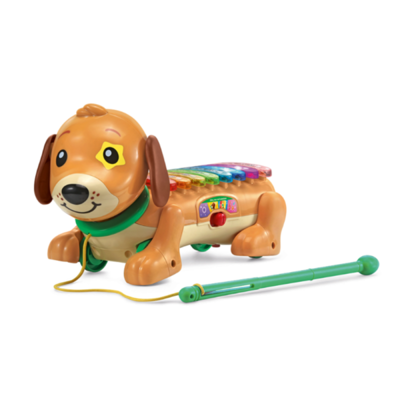 [1650565269] VTech – Elton, mon Rouli Xylophone (571005)
